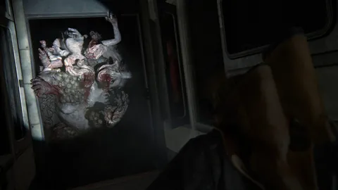The Last of Us Part II Remastered – In-game