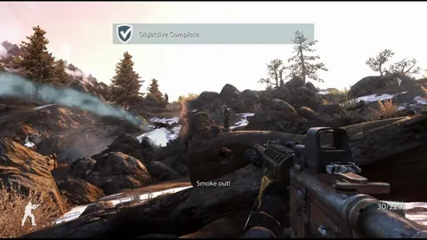 Medal of Honor – En jeu