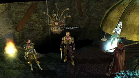 Neverwinter Nights: Enhanced Edition – Ze hry