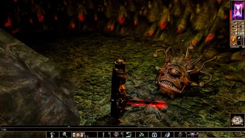 Neverwinter Nights: Enhanced Edition – Ze hry