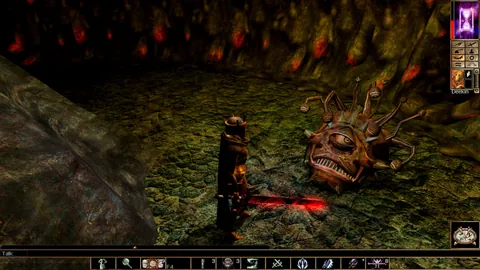 Neverwinter Nights – Ze hry