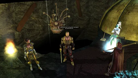 Neverwinter Nights – Ze hry