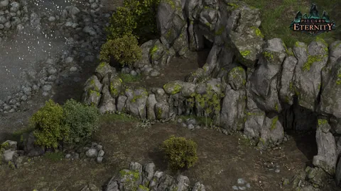 Pillars of Eternity – Ze hry