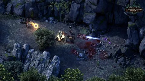 Pillars of Eternity – Ze hry