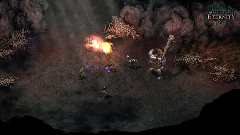 Pillars of Eternity – Ze hry