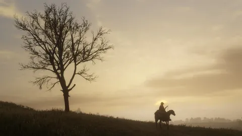 Red Dead Redemption 2 – Ze hry