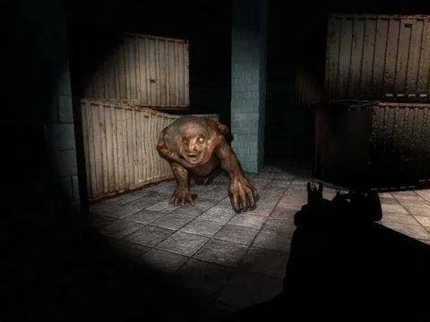 S.T.A.L.K.E.R.: Shadow of Chernobyl – En jeu