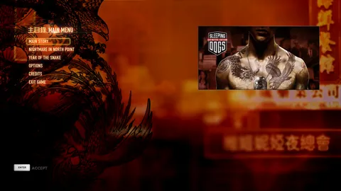 Sleeping Dogs – In-game