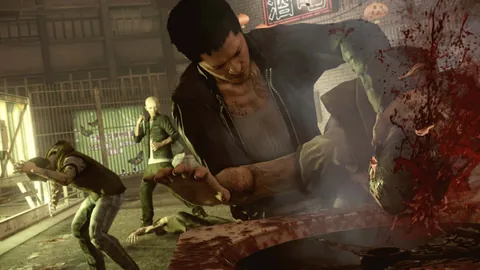 Sleeping Dogs – In-game