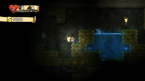 Spelunky – Aus dem Spiel