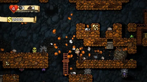 Spelunky – Aus dem Spiel
