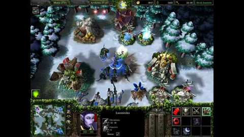 Warcraft III: The Frozen Throne – Aus dem Spiel