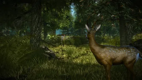 The Witcher 2: Assassins of Kings – En jeu