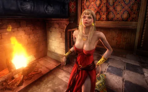 The Witcher – Ze hry