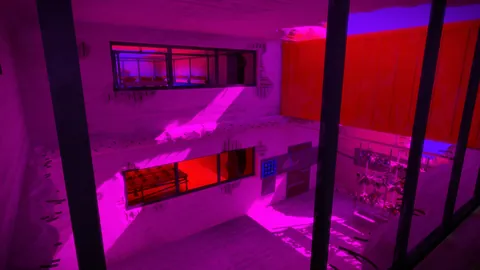The Witness – Aus dem Spiel