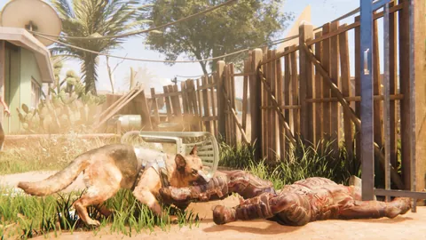 Arizona Sunshine – En jeu