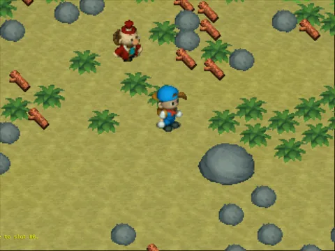 Harvest Moon: Back to Nature – En jeu