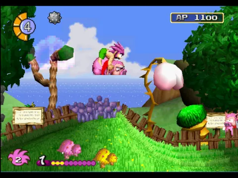 Tomba! – In-game