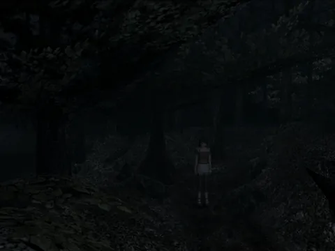 Fatal Frame II: Crimson Butterfly – Ze hry