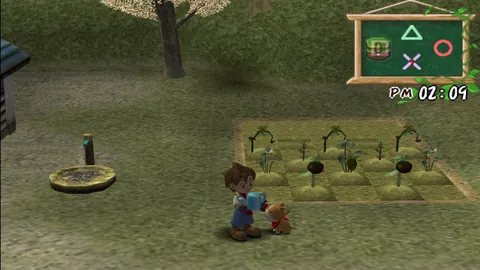 Harvest Moon: A Wonderful Life Special Edition – Ze hry