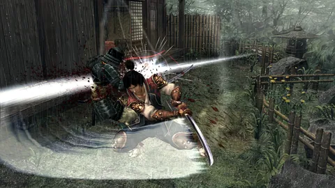 Onimusha 2: Samurai's Destiny – In-game
