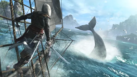 Assassin's Creed IV: Black Flag – In-game
