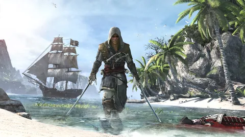 Assassin's Creed IV: Black Flag – In-game