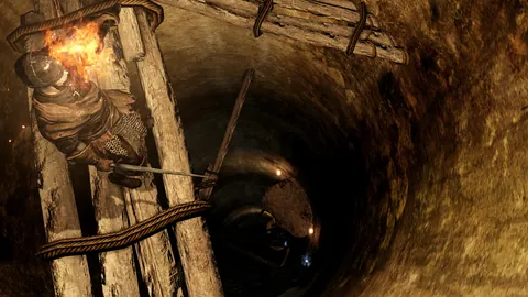 Dark Souls II – Ze hry