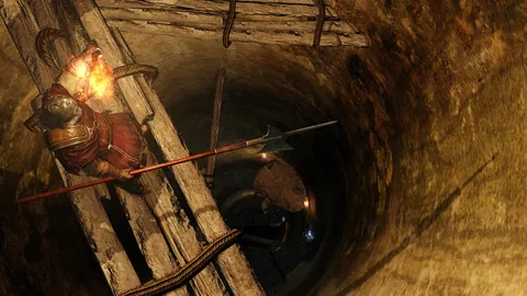 Dark Souls II – Ze hry