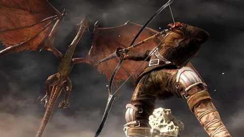 Dark Souls II – Ze hry
