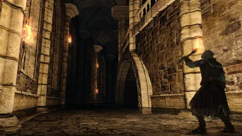 Dark Souls II – Ze hry