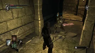 Demon's Souls – In-game
