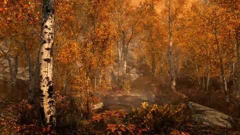 The Elder Scrolls V: Skyrim – In-game