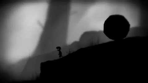 Limbo – Aus dem Spiel