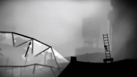 Limbo – Aus dem Spiel