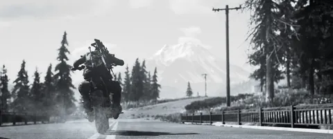 Days Gone – In-game