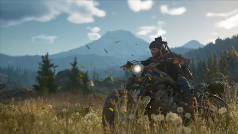 Days Gone – In-game