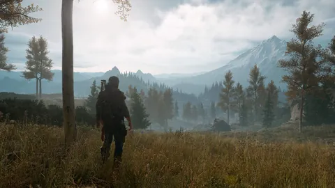 Days Gone – In-game