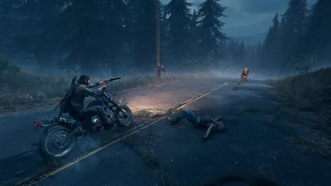 Days Gone – In-game