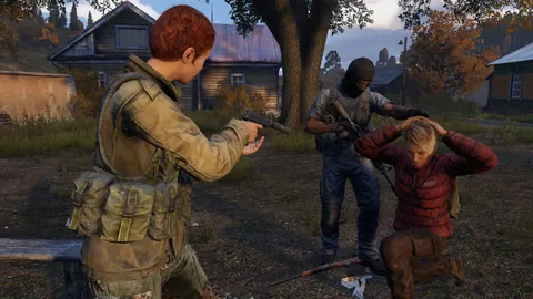DayZ – Aus dem Spiel