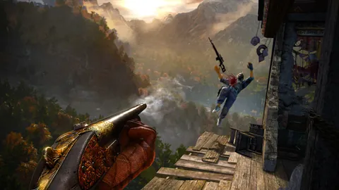 Far Cry 4 – En jeu