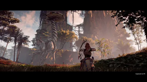 Horizon Zero Dawn – In-game