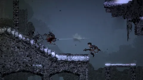 Salt and Sanctuary – In-game