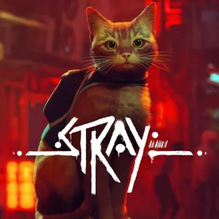 Stray – boxart