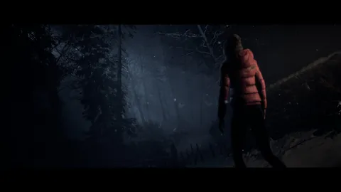 Until Dawn – In-game