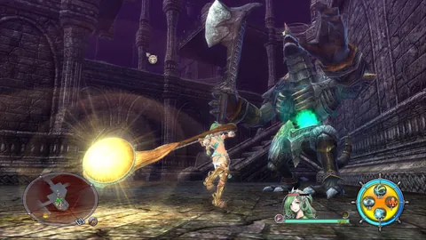 Ys VIII: Lacrimosa of Dana – In-game