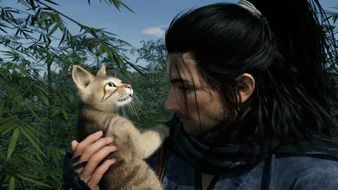Rise of the Ronin – In-game