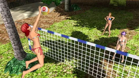 Dead or Alive Paradise – Ze hry