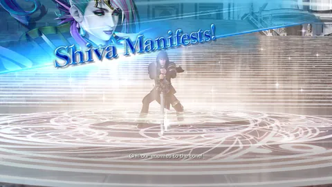Dissidia Final Fantasy – In-game