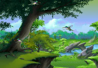 Kolibri – En jeu
